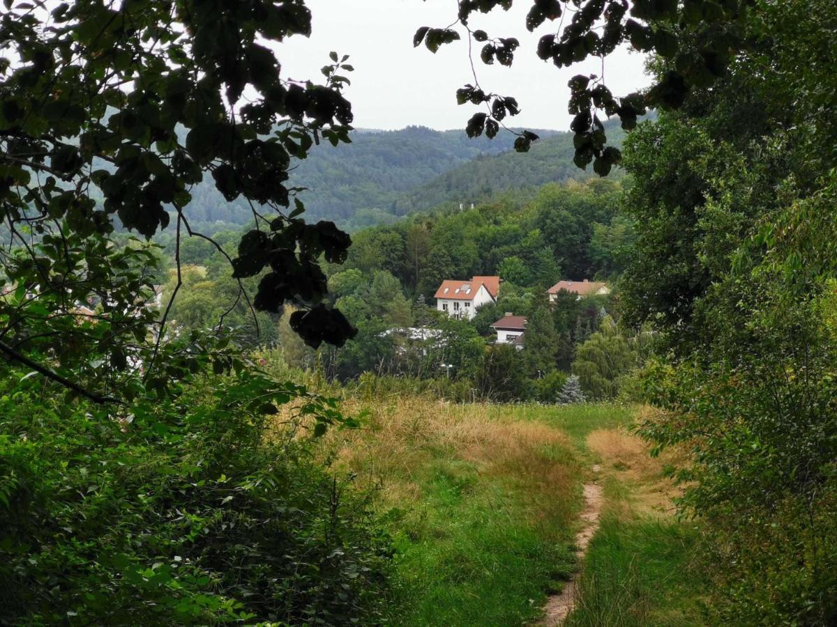 Haus Froehlich Lejlighed Michelstadt Eksteriør billede